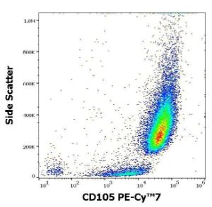 Flow cytometric analysis of HUVEC cell suspension stained with Anti-CD105 Antibody [MEM-226] (PE-Cyanine 7) (4µl reagent per milion cells in 100µl of cell suspension)