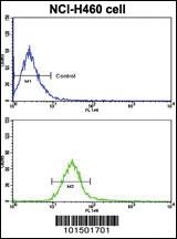 Anti-CCK4 (PTK7) Rabbit Polyclonal Antibody