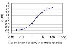 Anti-HMGB2 Mouse Monoclonal Antibody [clone: 3E5]