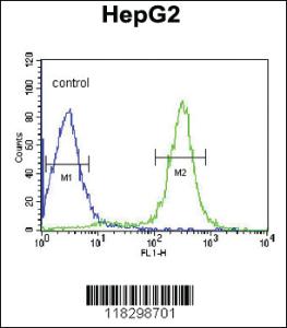 Anti-ITIH2 Rabbit Polyclonal Antibody