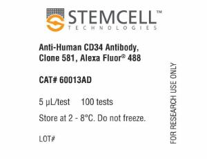 Anti-human CD34 antibody, spectrum 581, Alexa Fluor® 488