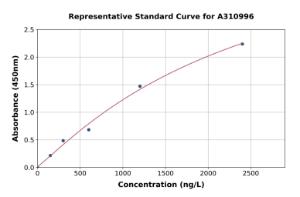 Representative standard curve for Human Nebulette ELISA kit (A310996)