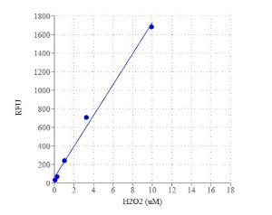 Amplite/trade ir 11009 1 mg