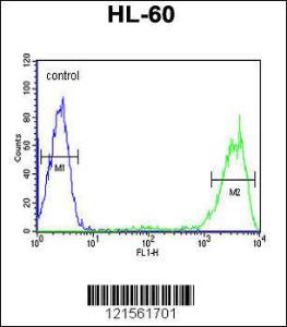 Anti-RAB5A Rabbit Polyclonal Antibody (Biotin)