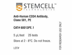 Anti-human CD34 antibody, spectrum 581, PE