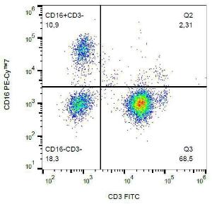 Flow cytometric analysis of CD16 in human peripheral blood with Anti-CD16 Antibody [3G8] (PE-Cyanine 7)