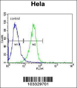 Anti-RAF1 Rabbit Polyclonal Antibody (AP (Alkaline Phosphatase))