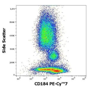 Anti-CXCR4 Mouse Monoclonal Antibody [clone: 12G5] (PE-Cyanine 7)