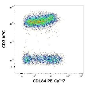 Anti-CXCR4 Mouse Monoclonal Antibody [clone: 12G5] (PE-Cyanine 7)