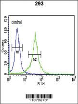 Anti-DCD Rabbit Polyclonal Antibody