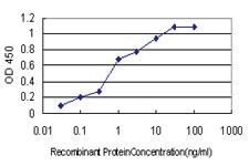 Anti-MYOG Mouse Monoclonal Antibody [clone: 2B7]