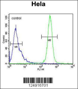 Anti-K2C78 Rabbit Polyclonal Antibody (AP (Alkaline Phosphatase))