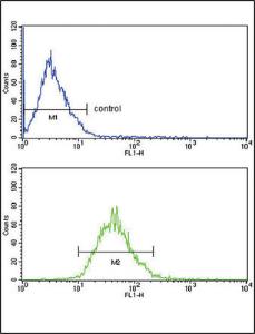 Anti-Lipoprotein Receptor, Low Density Rabbit Polyclonal Antibody (HRP (Horseradish Peroxidase))