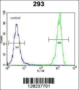 Anti-OR10H1 Rabbit Polyclonal Antibody (AP (Alkaline Phosphatase))