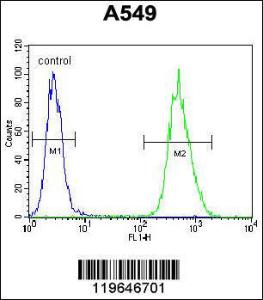 Anti-BNIP3L Rabbit Polyclonal Antibody (APC (Allophycocyanin))