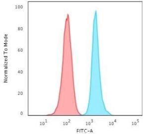 Flow cytometric analysis of HeLa cells using Anti-Ki67 Antibody [MKI67/2465] followed by Goat Anti-Mouse IgG (CF&#174; 488) (Blue) Isotype Control (Red)