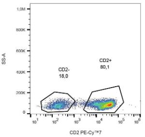 Anti-CD2 antibody