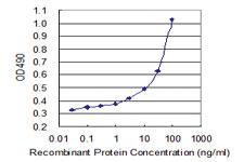 Anti-ACTA2 Mouse Monoclonal Antibody (Biotin)