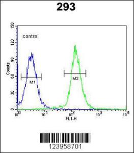 Anti-CDC45 Rabbit Polyclonal Antibody (FITC (Fluorescein Isothiocyanate))