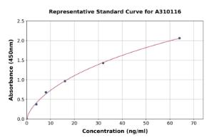 Representative standard curve for Human Thyroid Peroxidase/TPO ELISA kit (A310116)