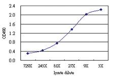 Anti-T Antibody Pair