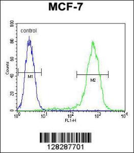 Anti-LYSMD4 Rabbit Polyclonal Antibody (AP (Alkaline Phosphatase))