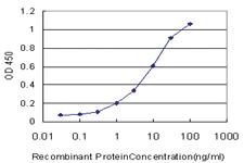 Anti-MYOG Mouse Monoclonal Antibody [clone: 2E7]