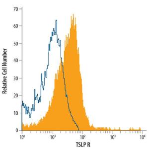 Anti-Thymic Stromal Lymphopoietin Receptor Goat Polyclonal Antibody (APC (Allophycocyanin))