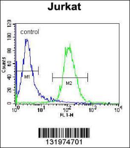 Anti-NKD2 Rabbit Polyclonal Antibody (FITC (Fluorescein Isothiocyanate))