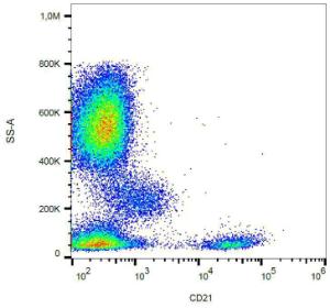 Anti-CD21 antibody