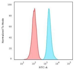 Flow cytometric analysis of HeLa cells using Anti-Ki67 Antibody [MKI67/2466] followed by Goat Anti-Mouse IgG (CF&#174; 488) (Blue) Isotype Control (Red)