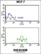 Anti-CDC73 Rabbit Polyclonal Antibody (Biotin)