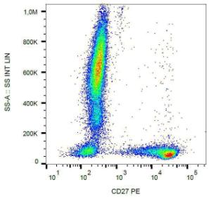 Antibody anti-CD27 LT27 PE-cyanine 7