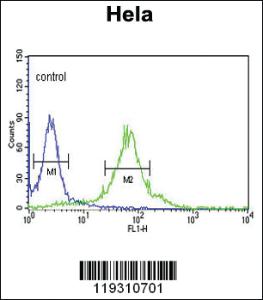 Anti-FKBP2 Rabbit Polyclonal Antibody