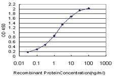 Anti-CUX1 Mouse Monoclonal Antibody [clone: 2D10]