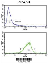 Anti-COX6A1 Rabbit Polyclonal Antibody