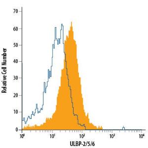 Anti-ULBP Mouse Monoclonal Antibody (Peridinin Chlorophyll) [clone: 165903]