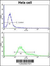 Anti-PDIA6 Rabbit Polyclonal Antibody