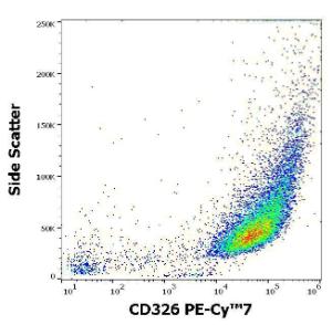 Flow cytometric analysis of MCF-7 cell suspension using Anti-CD326 Antibody [323/A3] (PE-Cyanine 7) (4µl reagent per milion cells in 100µl of cell suspension)