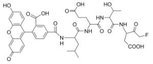 Fam-letd-fmk 13416 100 µg