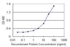 Anti-RNF181 Antibody Pair