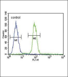 Anti-S100B Rabbit Polyclonal Antibody