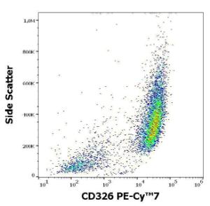 Antibody anti-CD326 VU-1D9 PE-cyanine