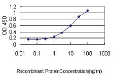 Anti-MED7 Mouse Monoclonal Antibody [clone: 3E7]