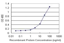 Anti-RNF181 Polyclonal Antibody Pair