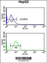 Anti-ECI2 Rabbit Polyclonal Antibody (Biotin)