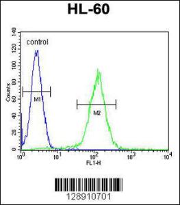 Anti-OR10J5 Rabbit Polyclonal Antibody (AP (Alkaline Phosphatase))