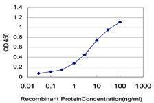 Anti-RPS17 Mouse Monoclonal Antibody [clone: 2C7]