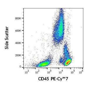 Flow cytometric analysis of human peripheral whole blood stained using Anti-CD45 Antibody [2D1] (PE-Cyanine 7) (4µl reagent per 100µl of peripheral whole blood)