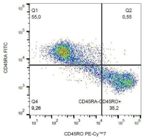 Flow cytometric analysis of CD45R0 in human peripheral blood with Anti-CD45R0 Antibody [UCHL1] (PE-Cyanine 7)